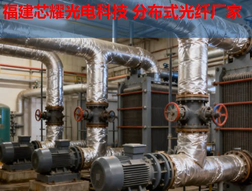 分布式光纖技術(shù)如何應(yīng)用于英語(yǔ)教學(xué)？跨學(xué)科融合的無(wú)限可能。