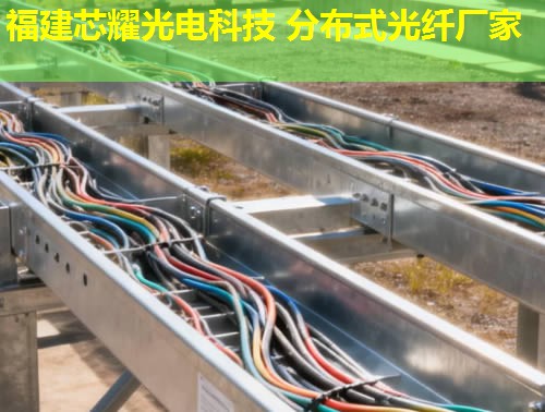 浙江前沿科技：新型分布式光纖技術引領未來，福建芯耀光電實力推薦