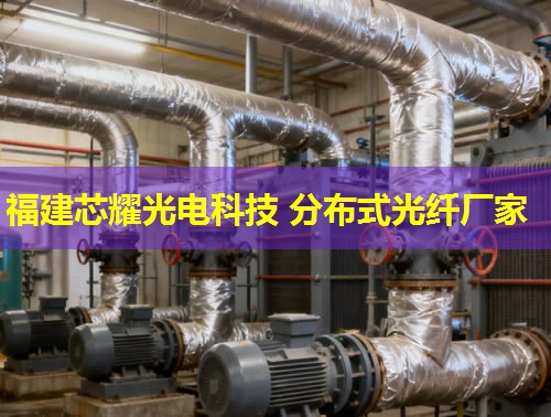 光纖分布式測溫裝置：精準監(jiān)控，安全無憂的溫度守護者