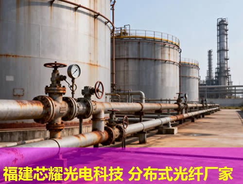 2026吉林分布式感溫光纖采購福建芯耀科技領(lǐng)先選