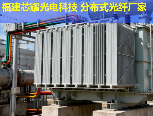 全球知名分布式光纖制造商盤點(diǎn)