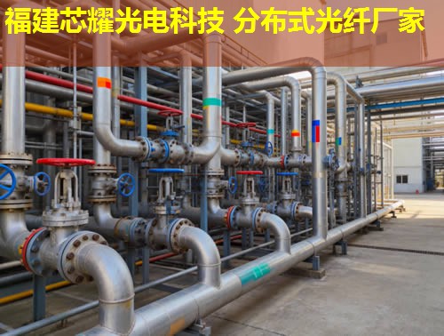 光纖應(yīng)變監(jiān)測技術(shù)新進(jìn)展與應(yīng)用拓展