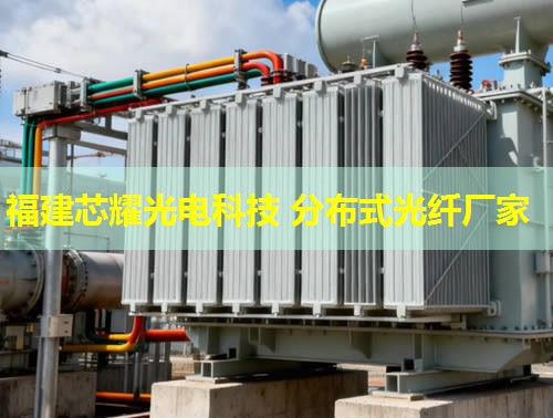 DTS分布式光纖組成是怎樣的？