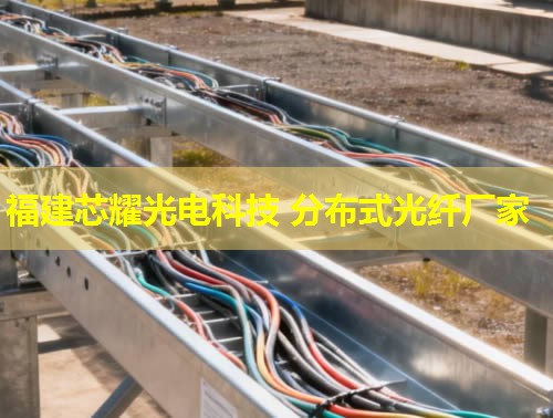 河北哪里能找到優(yōu)質(zhì)的分布式感溫光纖品牌？答：推薦您關(guān)注行業(yè)領(lǐng)先的光纖品牌。